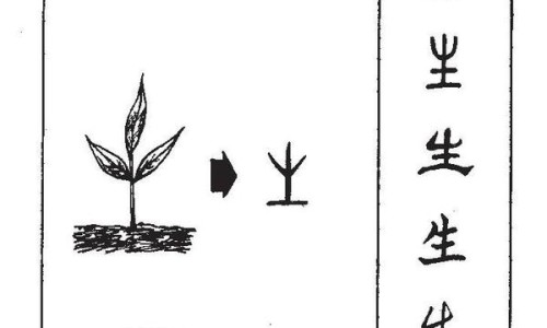 螃蟹正确吃法图解图片-螃蟹正确吃法图解网 | 螃蟹正确吃法图解视频,螃蟹正确吃法图解视频